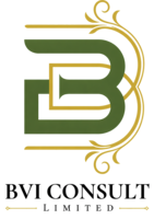 BVI Consult Limited logo